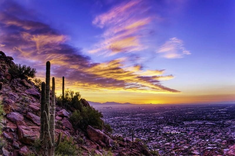 Phoenix cityscape